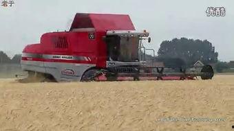 国产收割机作业视频欣赏