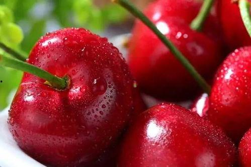 国产樱桃品种视频,探寻美味与品种特色