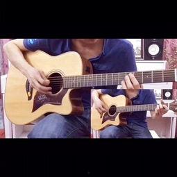海鸥吉他国产演奏视频,海鸥吉他演绎经典旋律